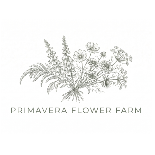 Primavera Flower Farm